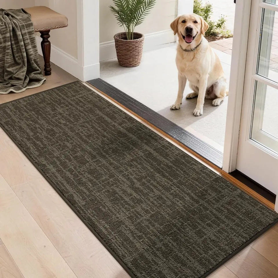 Dog standing on a doormat at the entrance of a home