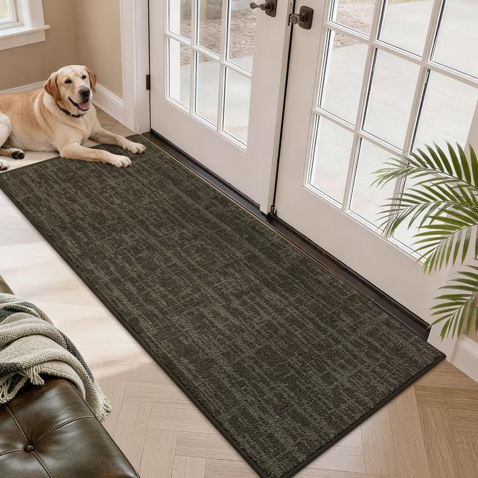 Dog lying on a doormat in front of a glass door with a plant nearby