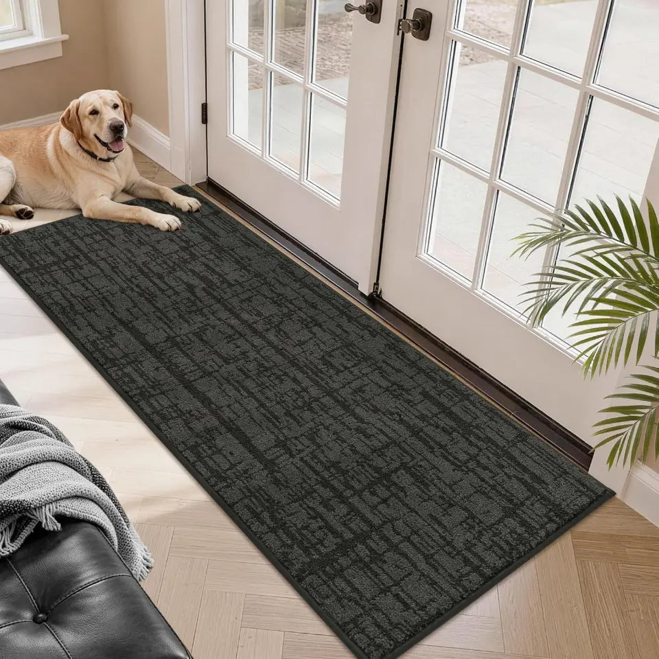 Dog lying on a dark grey doormat in front of a glass door with a couch and plant in the foreground.