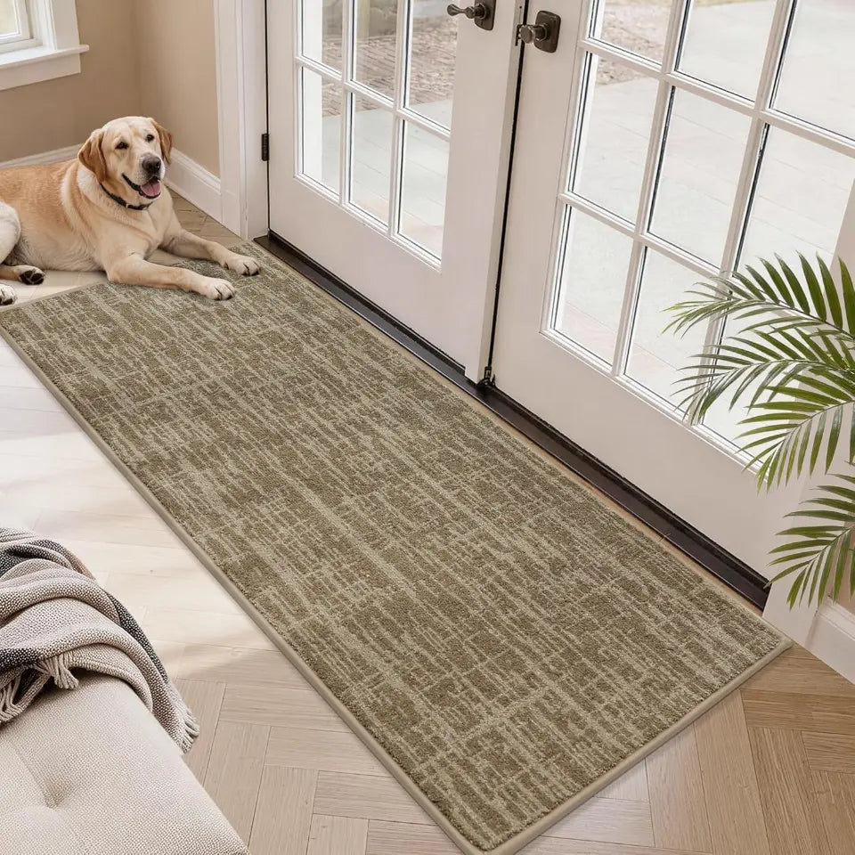 Dog lying on a long taupe rug in front of a glass door with a plant nearby.