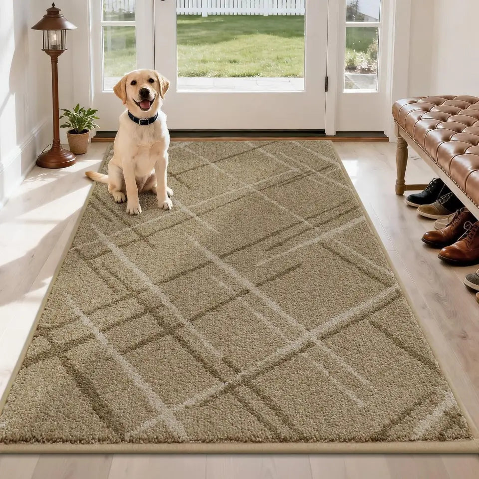 Dog sitting on a patterned rug in a home setting with a door leading outside.
