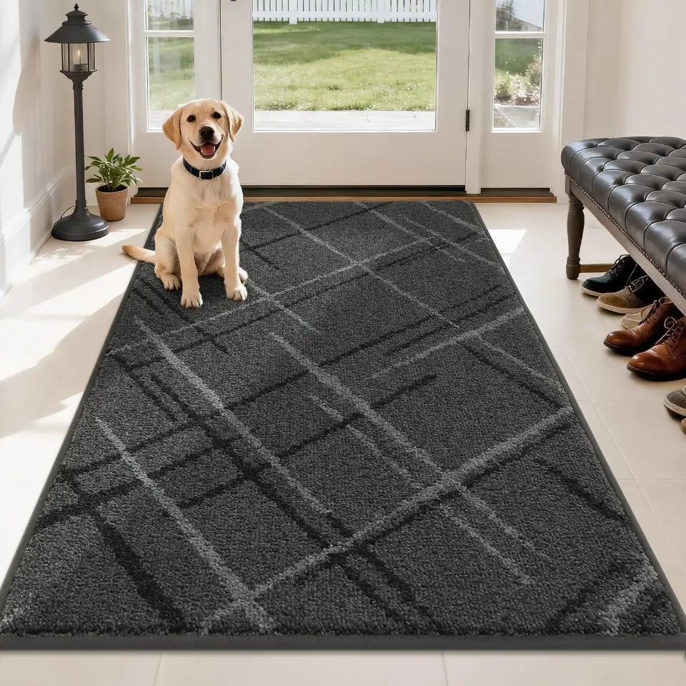 Dog sitting on a gray checkered rug in a room with a bench and shoes.